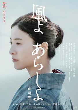 风啊暴风雨啊 电影版 風よ あらしよ 劇場版