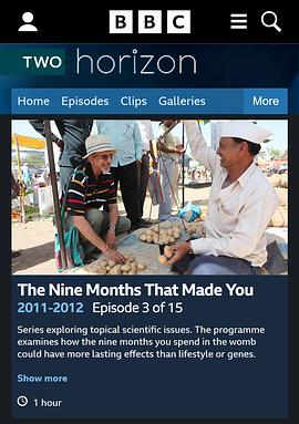 BBC 地平线系列: 怀胎九月 BBC Horizon: The Nine Months That Made You