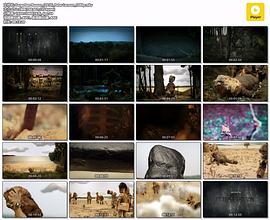 被遗忘的理由 Forgotten Reason