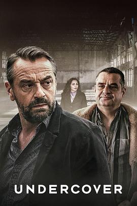 卧底 第二季 Undercover Season 2