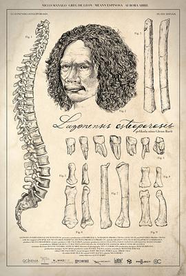 吕宋人骨质疏松记 Luzonensis Osteoporosis