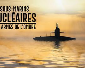 战略核潜艇：暗影杀手 Sous-marins nucléaires : les armes de l'ombre