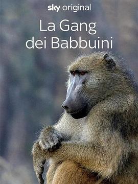 瀑布区的狒狒家族 第一季 Gangs of Baboon Falls Season 1