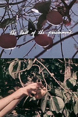 最后的柿子 The Last of the Persimmons