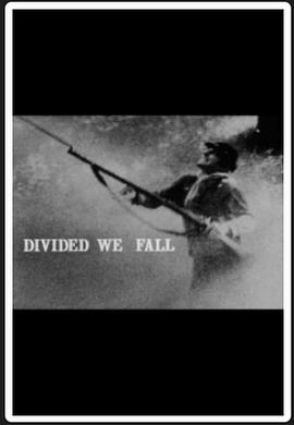 分道不扬镳 Divided We Fall