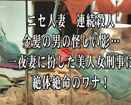 诱捕搜查官·北见志穗12 おとり捜査官・北見志穂１２