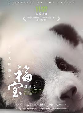 守护大熊猫之福宝诞生记