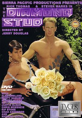 闪钻男孩 The Diamond Stud