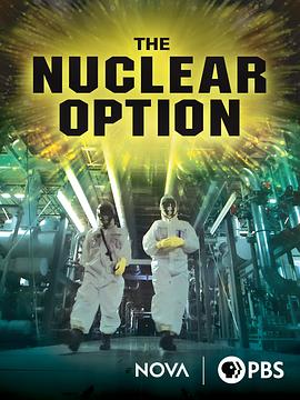 核能之路 The Nuclear Option