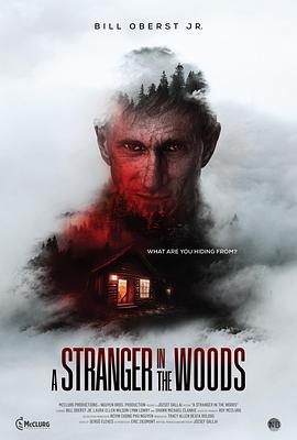 树林里的陌生人 A Stranger in the Woods