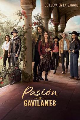 隐秘的激情 第二季 Pasión de Gavilanes Season 2
