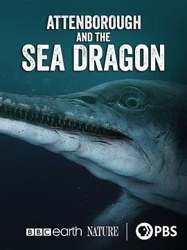 爱登堡和海龙 Attenborough and the Sea Dragon