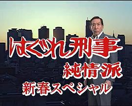 刑事纯情派 2004新春特别篇 はぐれ刑事純情派 新春スペシャル