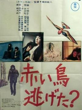 红鸟逃跑了? 赤い鳥逃げた？