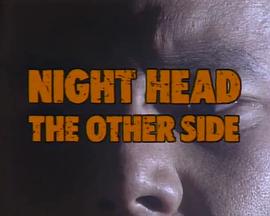 暗夜第六感 特别篇 NIGHT HEAD THE OTHER SIDE