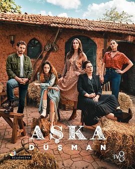 爱之敌 Aşka Düşman