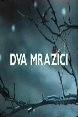 霜精灵 Dva mrazíci