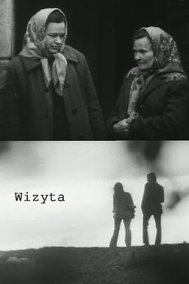 参观 Wizyta