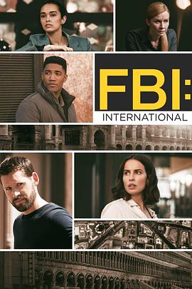 联邦调查局：国际 第三季 FBI: International Season 3