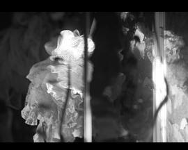 近道法观之卫浴堪舆