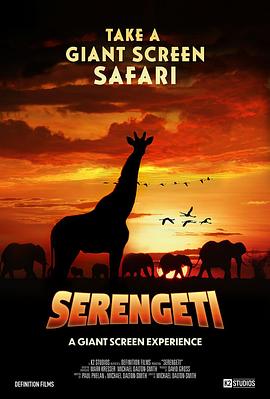 塞伦盖提大草原 Serengeti