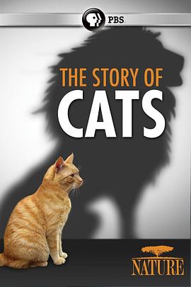 猫科动物的故事 The Story of Cats