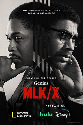 天才 第四季 Genius Season 4
