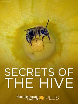 蜂巢的秘密 Secrets of the Hive