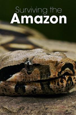 挑战亚马逊 第一季 Surviving the Amazon Season 1