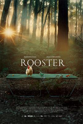 公鸡 The Rooster