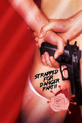 我爱敬业2 Strapped for Danger II: Undercover Vice