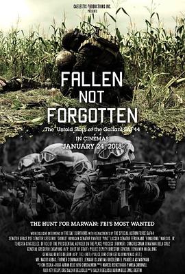 不能遗忘的失败 fallen not forgotten