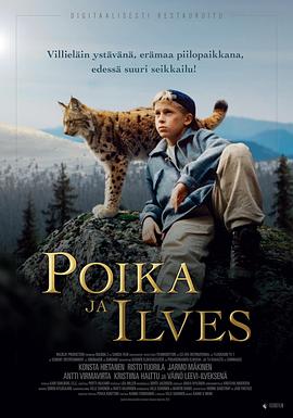 托米和灵猫 Poika ja ilves