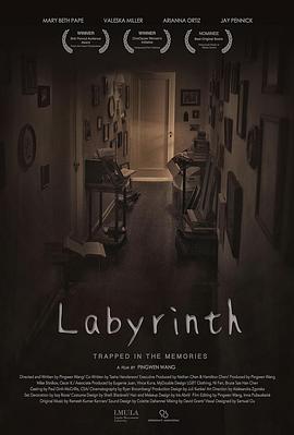 记忆回廊 Labyrinth
