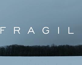 裂痕 FRAGILE
