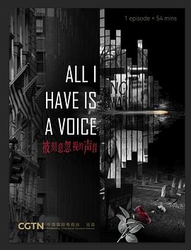 被刻意忽视的声音