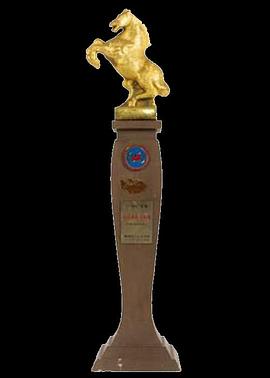 第9届金马奖颁奖典礼 第9屆金馬獎頒獎典禮