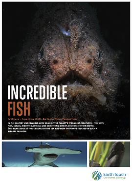 鱼类王国大探奇 Incredible Fish