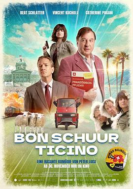 法证先锋 Bon Schuur Ticino