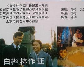 白桦林作证