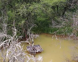 I Am Also Part of the Three Turns