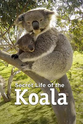 考拉的秘密生活 第一季 Secret Life of the Koala Season 1