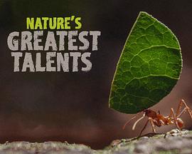 大自然最伟大的天才 Natur Talente
