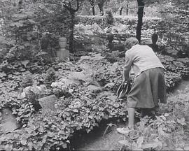 住房问题 第二部 Wohnungsprobleme 1982/83. Dokument II. Gesperrter Wohnraum