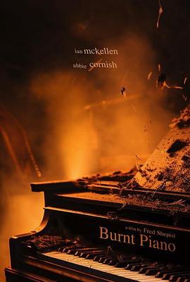 燃烧的钢琴 Burnt Piano