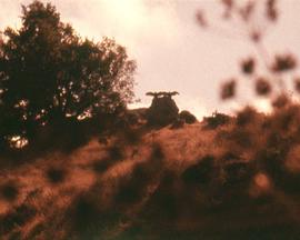 新海岸 New Shores