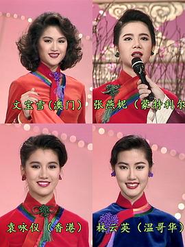 1991国际华裔小姐竞选