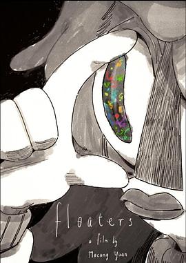 飞蚊症 Floaters