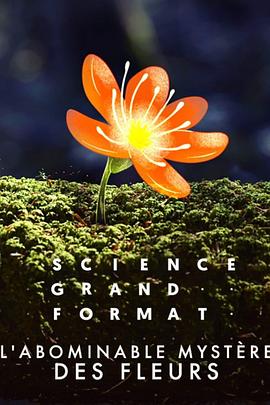花朵的力量 L'abominable mystère des fleurs