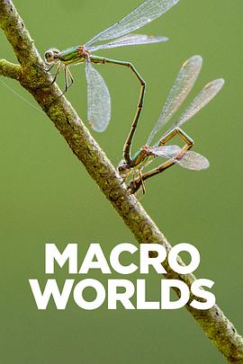 宏观世界 Macro Worlds